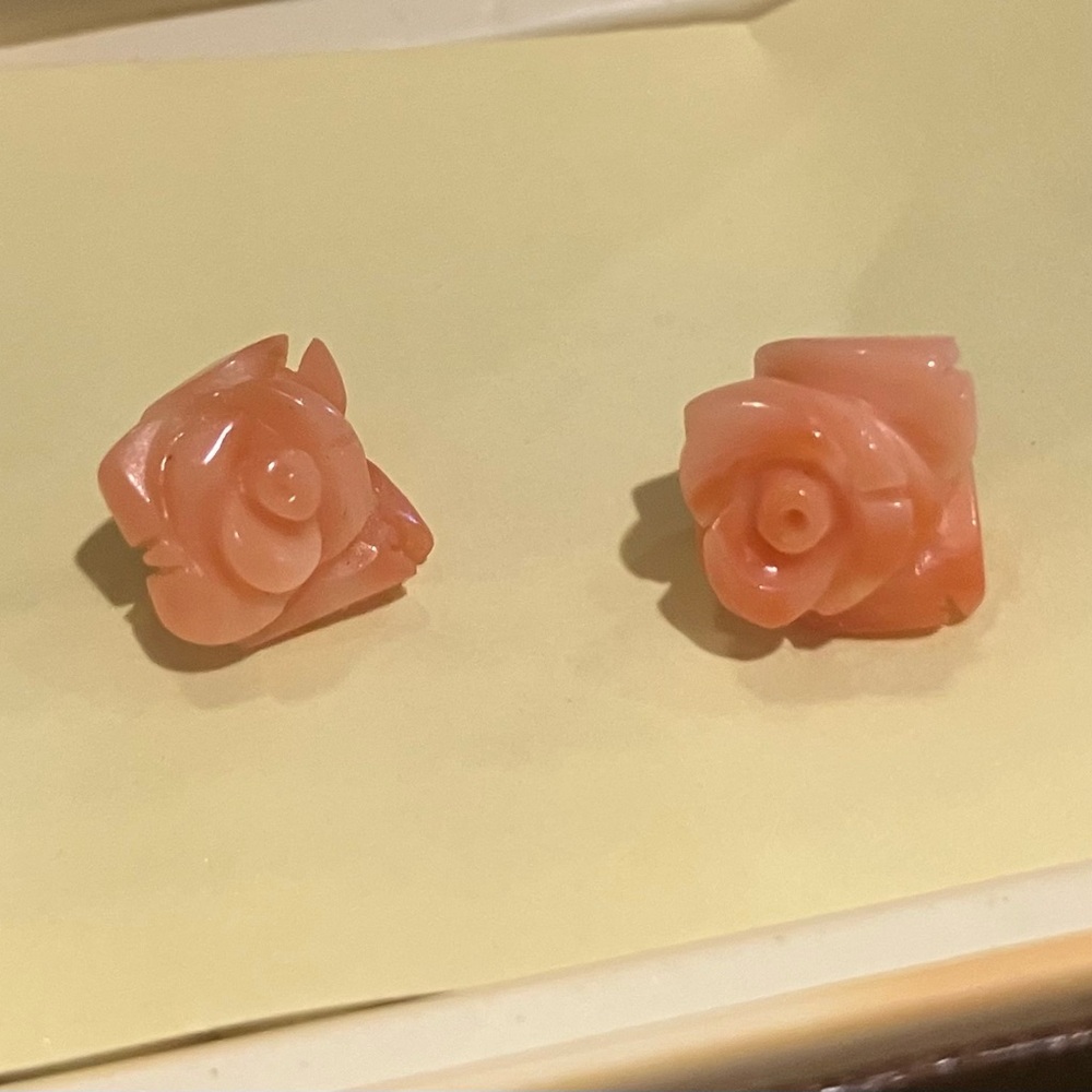 Coral 🪸 reef earrings